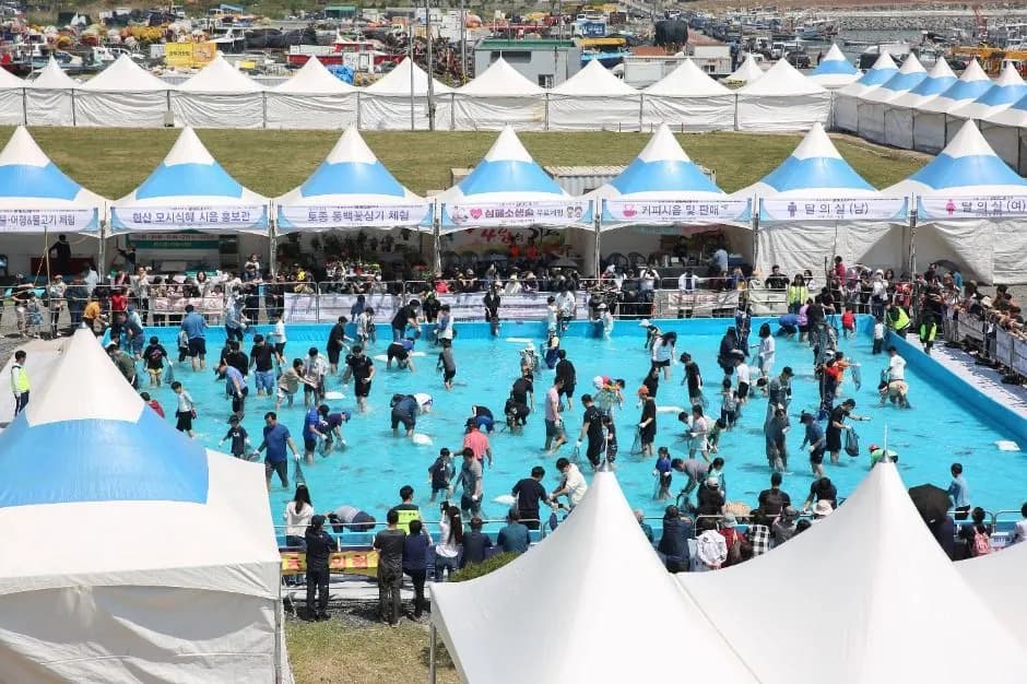 舒川野生比目鱼鲷鱼节