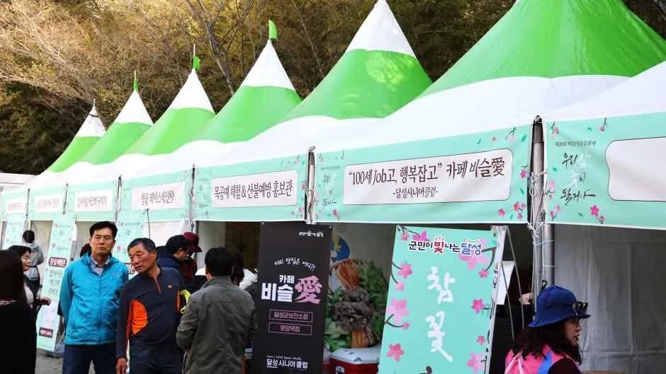 Biseulsan Azalea Festival