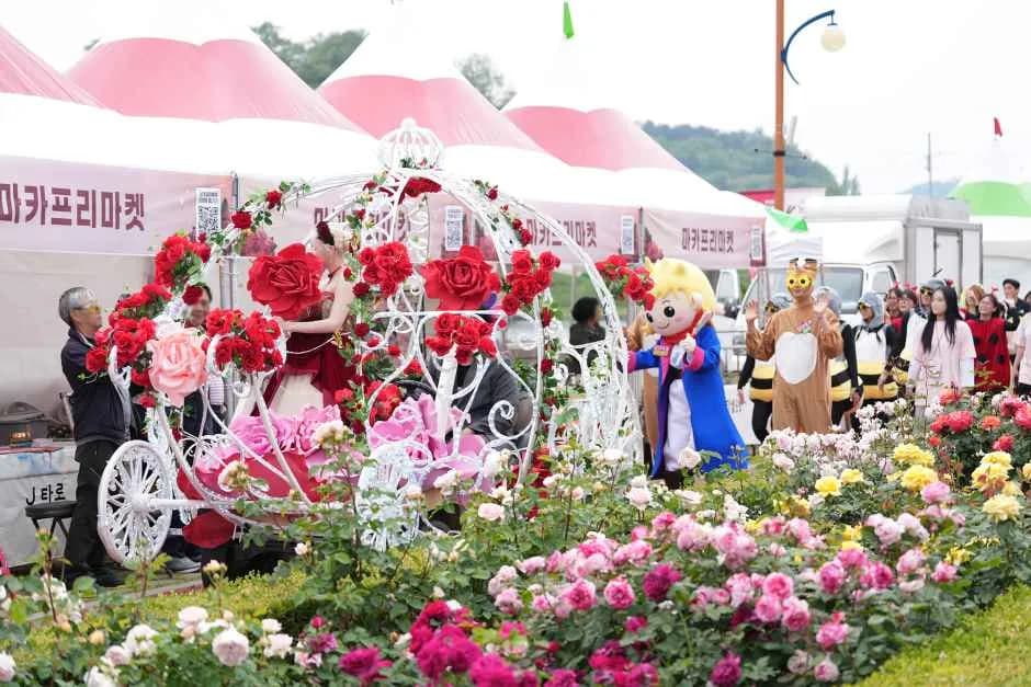 Samcheok Rose Festival