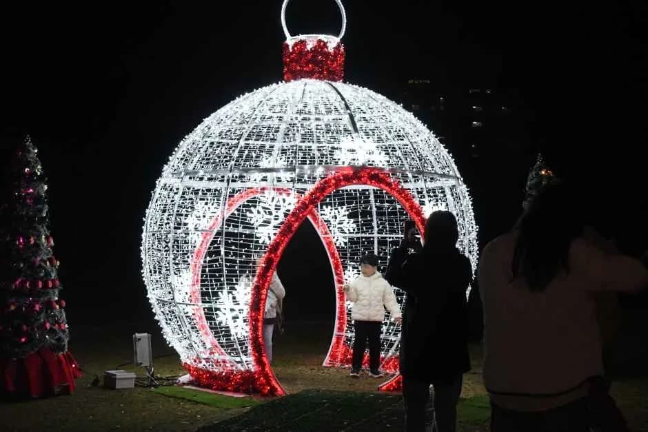 Hampyeong Winter Light Festival