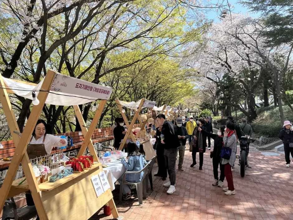 자유공원 벚꽃축제