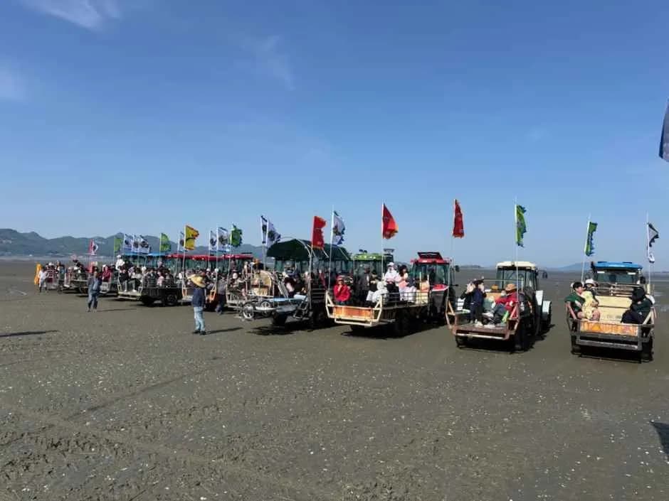 荷田アサリ五感体験フェスティバル