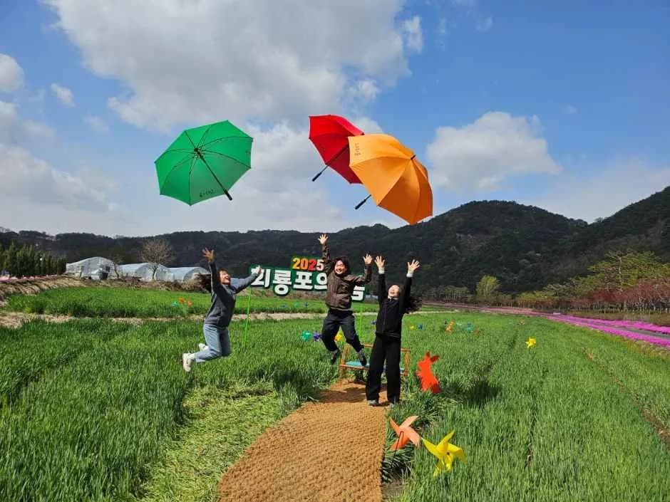 회룡포 봄나들이 축제