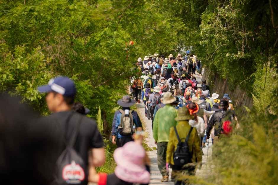 Yeongju Sobaeksan Royal Azalea Festival